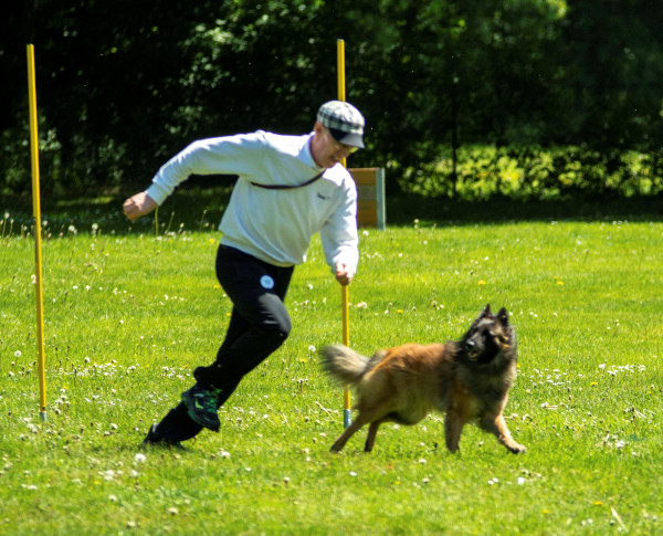 Hundefreunde Oberland - Turnierhundesport 4