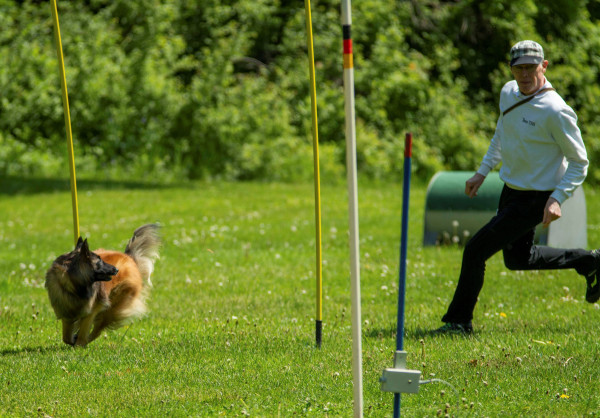 Hundefreunde Oberland - Turnierhundesport 2