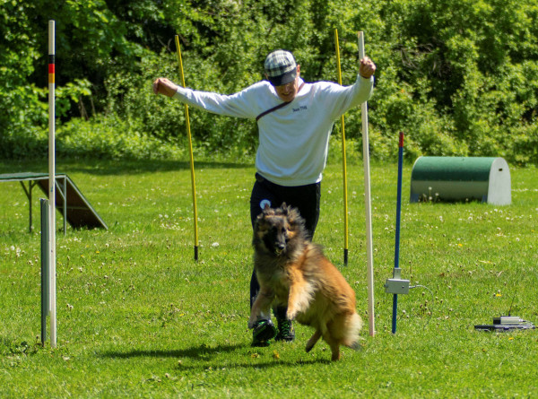 Hundefreunde Oberland - Turnierhundesport 3